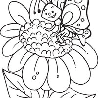 Desenho de Borboleta posando na flor para colorir