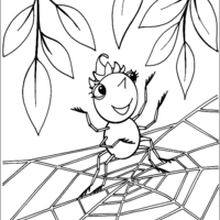 Desenho de Aranha cantando na teia para colorir
