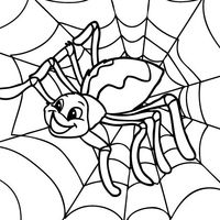 Desenho de Aranha na teia para colorir
