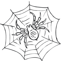 Desenho de Teia de aranha para colorir