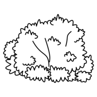 Desenho de Arbusto para colorir