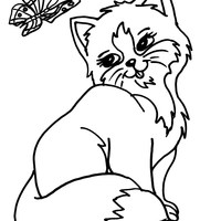 Desenho de Gatinha e borboleta para colorir