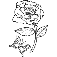 Desenho de Borboletinha e a rosa para colorir