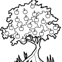 Desenho de Árvore carregada de frutos para colorir
