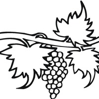 Desenho de Uva na parreira para colorir