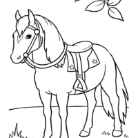 Desenho de Cavalo na natureza para colorir