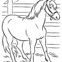 Desenho de Cavalo no curral para colorir