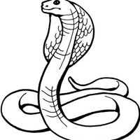 Desenho de Cobra Naja para colorir