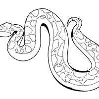 Desenho de Cobra rastejando para colorir