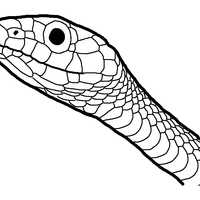 Desenho de Cabeça de cobra para colorir