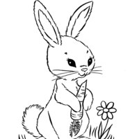 Desenho de Coelhinho segurando cenoura para colorir