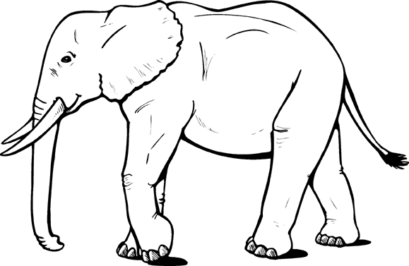 Elefante africano passeando