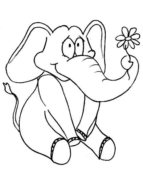 Elefante e florzinha