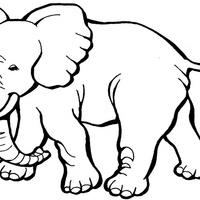 Desenho de Elefante africano para colorir
