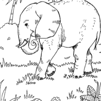 Desenho de Elefante na savana africana para colorir