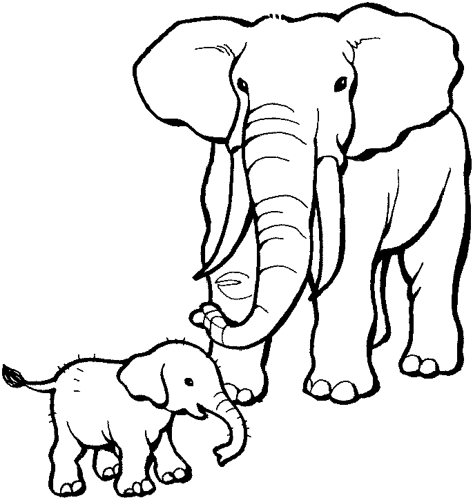 Mamae elefante e seu bebe