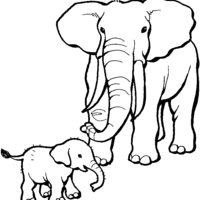 Desenho de Mamãe elefante e seu bebê para colorir