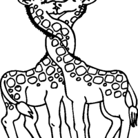 Desenho de Girafas apaixonadas para colorir