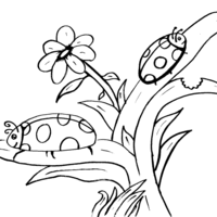 Desenho de Joaninha sobre a flor para colorir