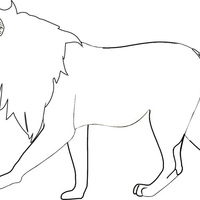 Desenho de Leão, o rei da selva para colorir