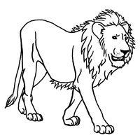 Desenho de Leao selvagem para colorir