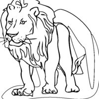 Desenho de Leão africano para colorir