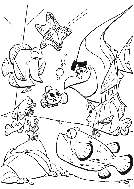 Nemo e seus amigos