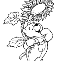Desenho de Pooh e girassol para colorir