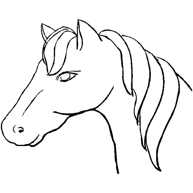 Desenho de Cabeça de cavalo para colorir - Tudodesenhos