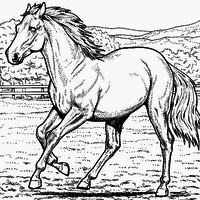 Desenho de Cavalo de corrida para colorir