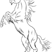 Desenho de Cavalo de fogo para colorir