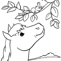 Desenho de cavalo conversando com passarinho para colorir