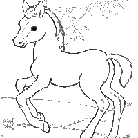 Desenho de Cavalo no campo para colorir