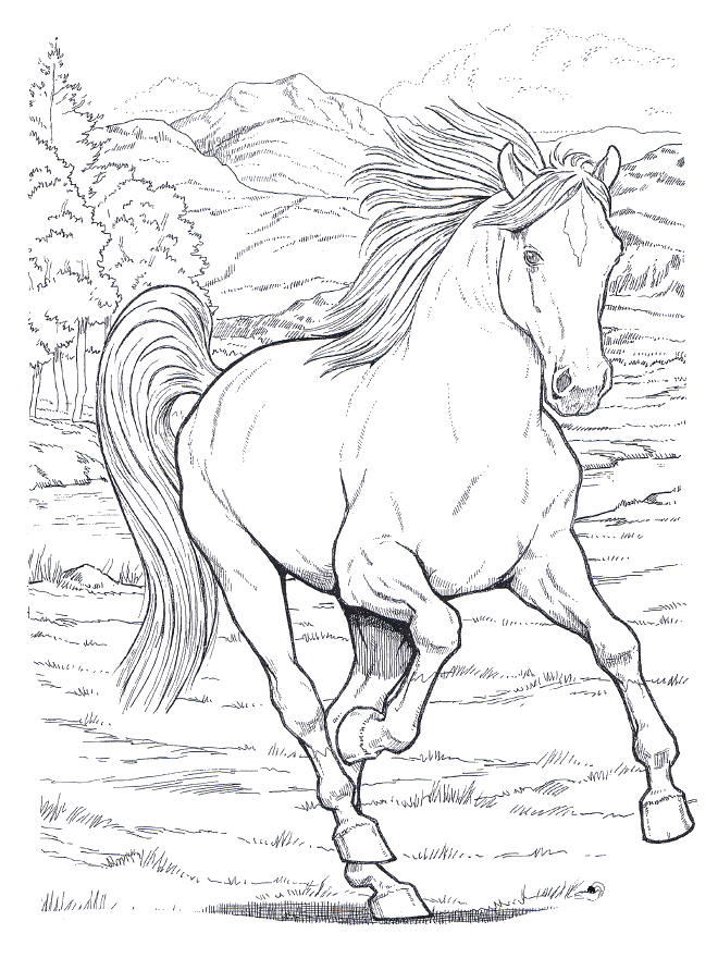 Um extraordinário cavalo selvagem para colorir e imprimir