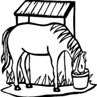 Desenho de Cavalo bebendo água para colorir