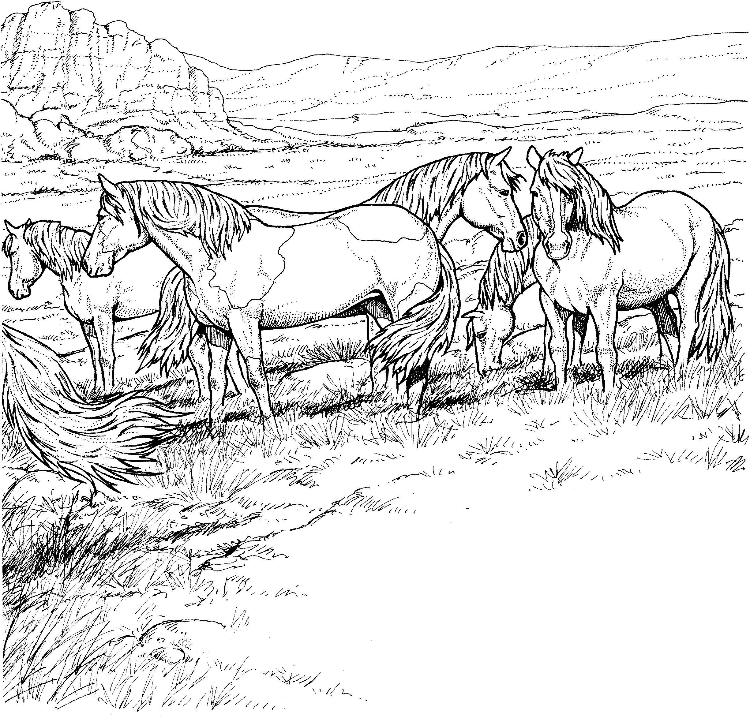 Desenho de Cabeça de cavalo para colorir - Tudodesenhos