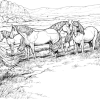 Desenho de Cavalos no curral para colorir