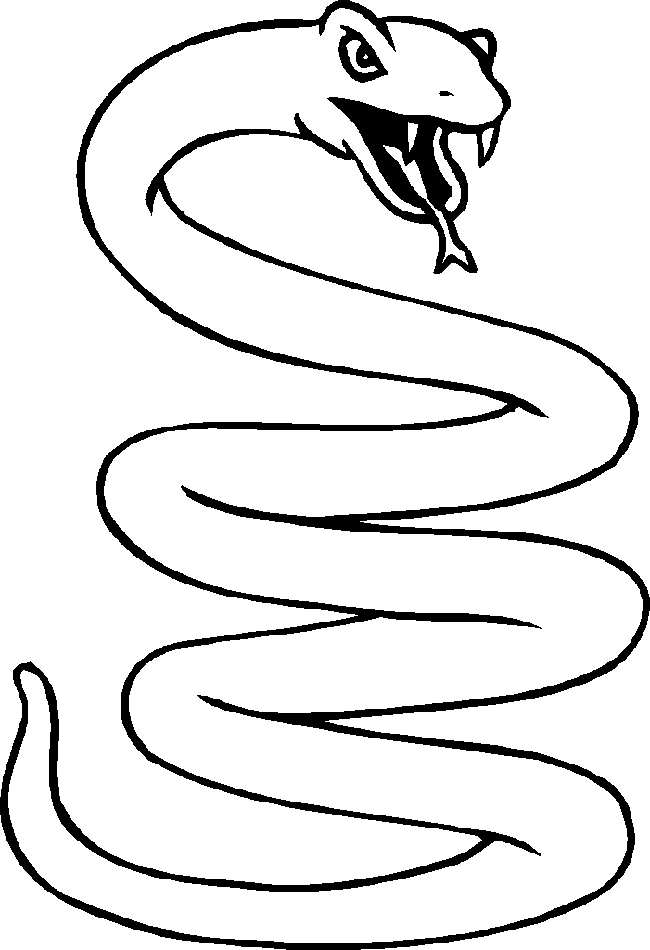 Desenho de Cobra grande para colorir - Tudodesenhos