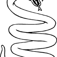 Desenho de Cobra grande para colorir