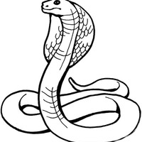 Desenho de Cobra perigosa para colorir