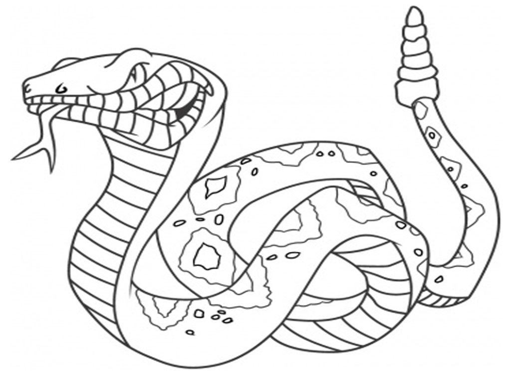 Serpente venenosa