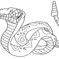 Desenho de Cobra para colorir – Imagem e Molde e para imprimir