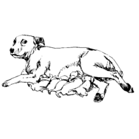 Desenho de Cachorrinha amamentando para colorir