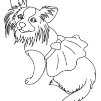 Desenho de Cachorrinho com vestido para colorir