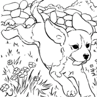 Desenho de Cachorrinho correndo para colorir