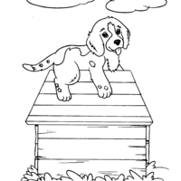 Desenho de Cachorrinho sobre casa para colorir