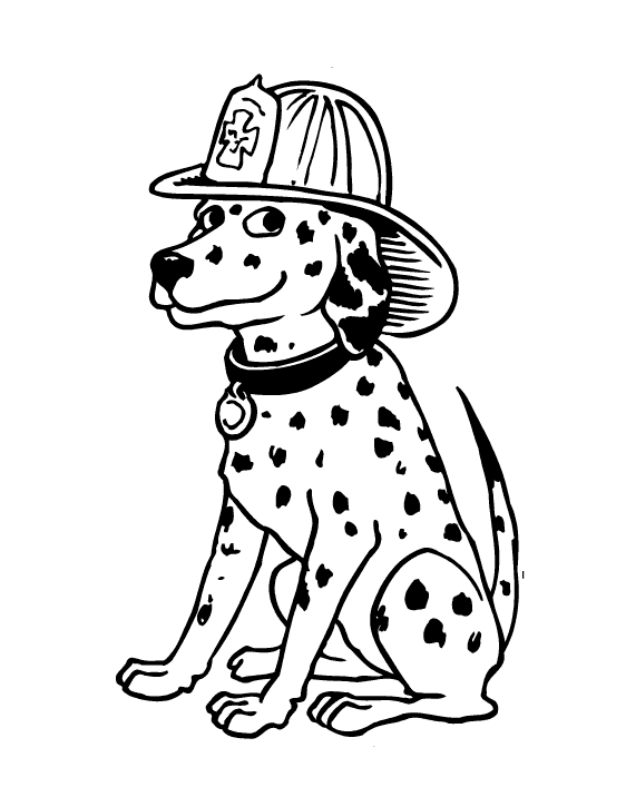 Cachorro bombeiro