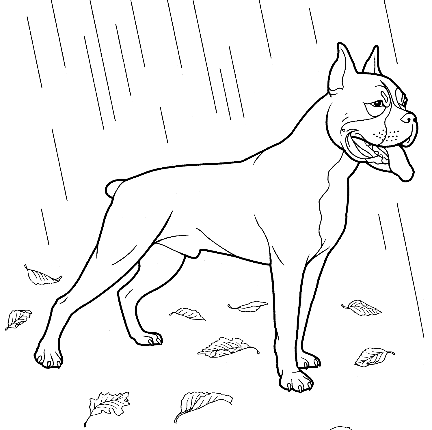 Boxer Desenho Para Colorir Ultra Coloring Pages | Images and Photos finder