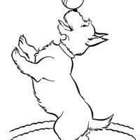 Desenho de Cachorro brincando com bolinha para colorir
