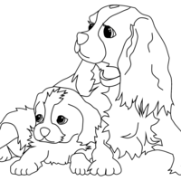Desenho de Cachorro Cocker Spaniel para colorir